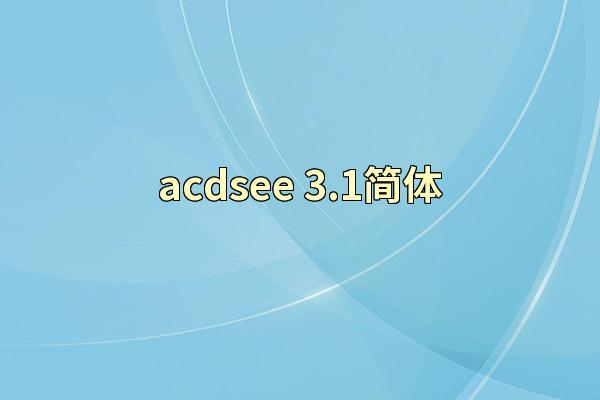 acdsee 3.1简体